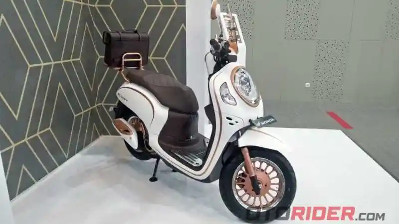 Modifikasi All New Scoopy Stylish Luxury