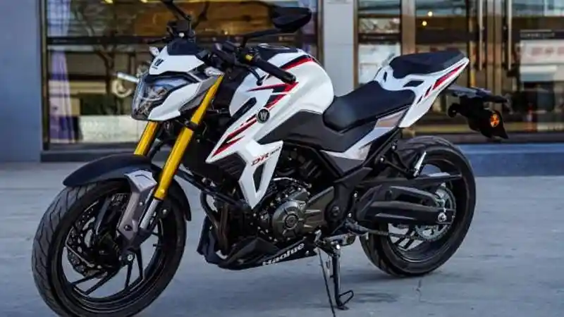 Suzuki GSX-S300 2-Silinder 2020/ Haojue DR300