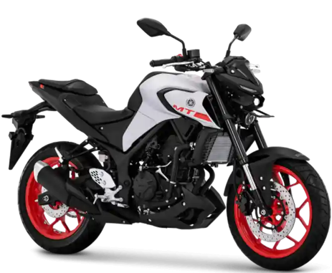 All New Yamaha MT-25