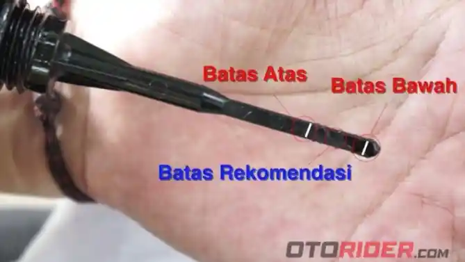 Cara memeriksa volume oli mesin motor honda beat