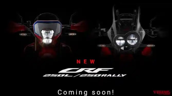 CRF250L dan Rally Model 2021