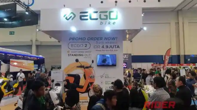 ECGO 2