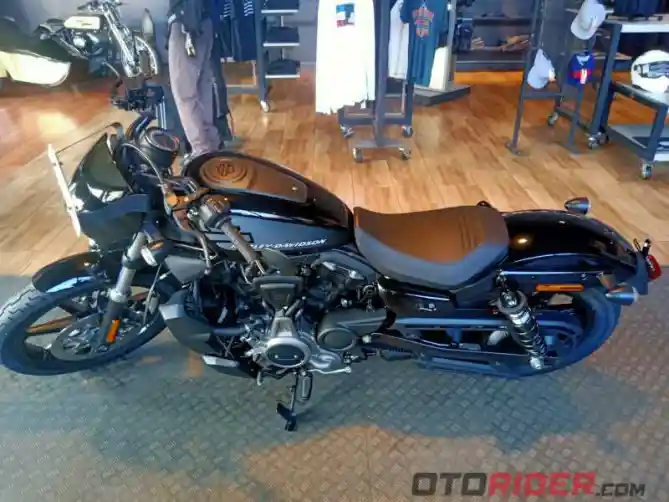 Harley Davidson Nightster 2022