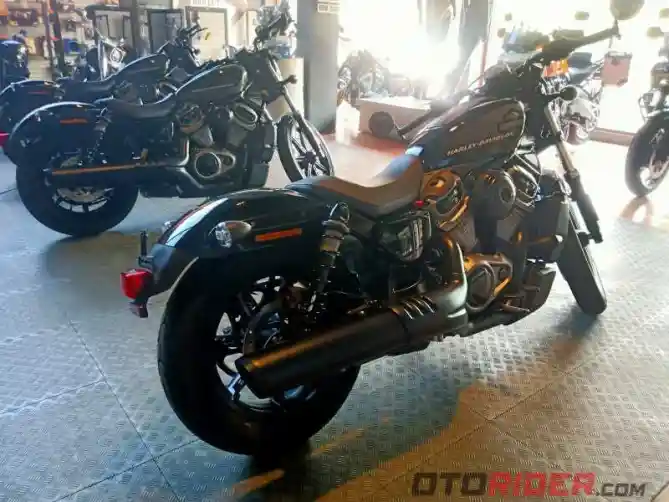 Harley Davidson Nightster 2022