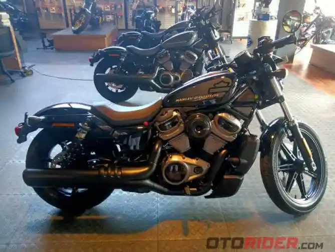 Harley Davidson Nightster 2022