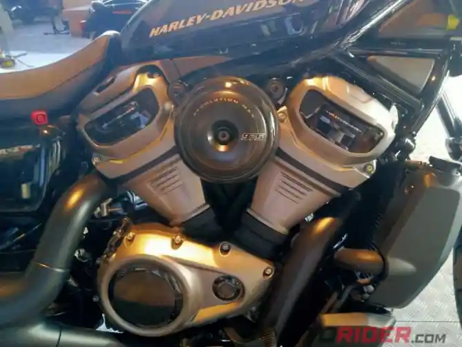 Harley Davidson Nightster 2022