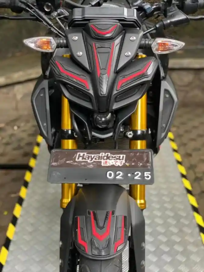 Hayaidesu Body Protector Yamaha MT-15