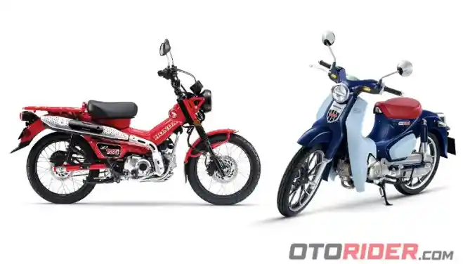 Honda CT125 vs Honda Super Cub C125