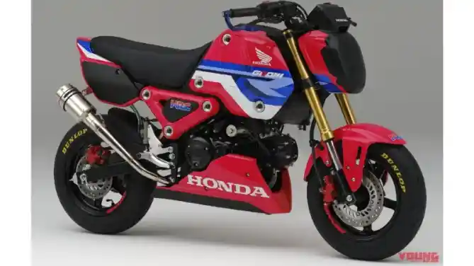 Honda MSX 125 Grom Bergaya Tim Balap HRC