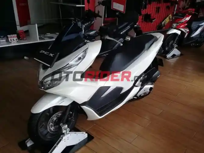 Honda PCX Putih