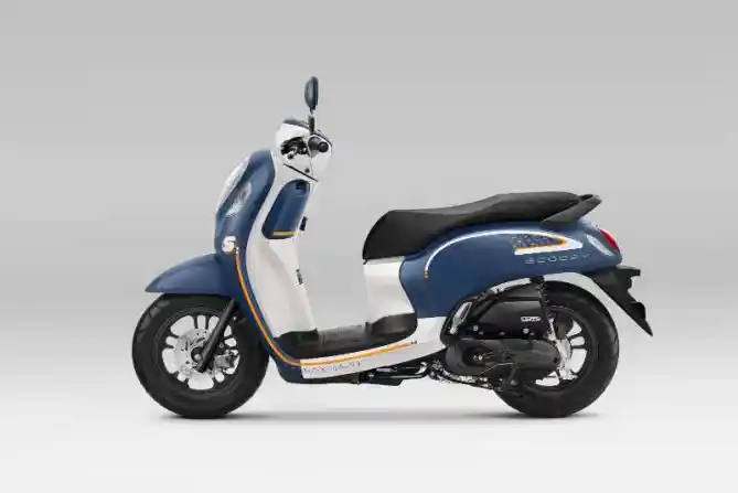 Honda Scoopy