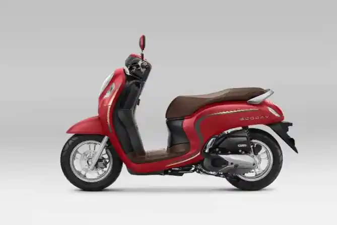 Honda Scoopy