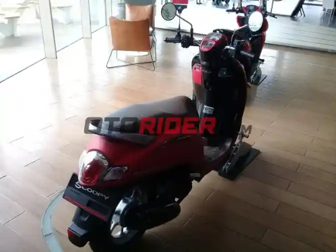 Honda Scoopy