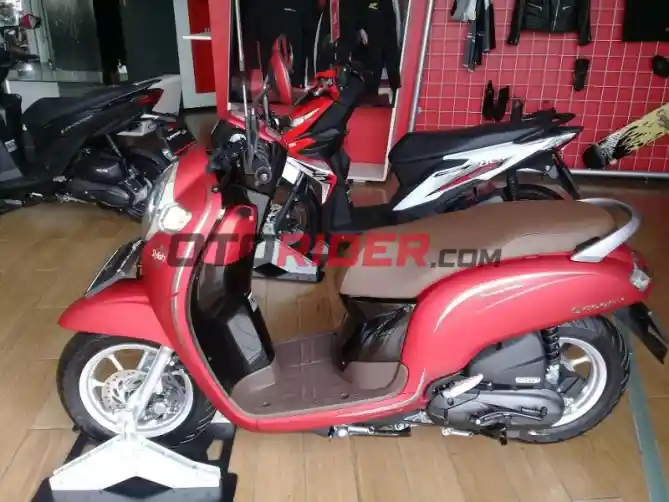 Honda Scoopy