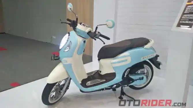 Modifikasi All New Scoopy Fashionable