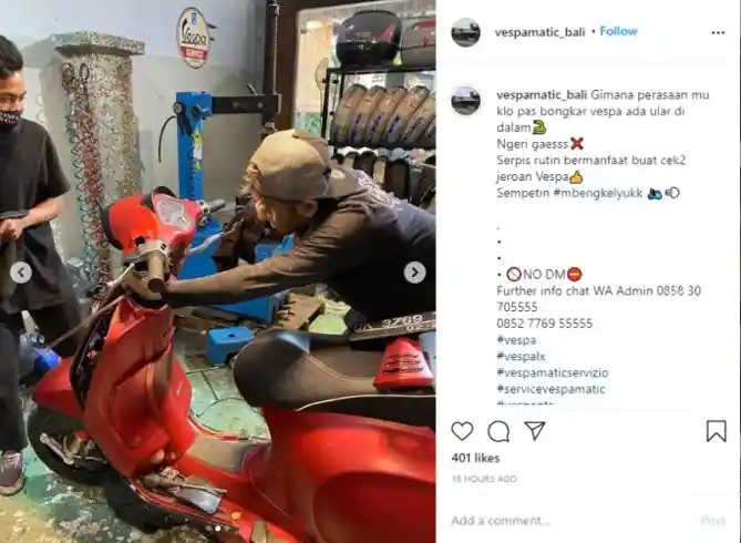 Vespa Sprint Kemasukan Ular