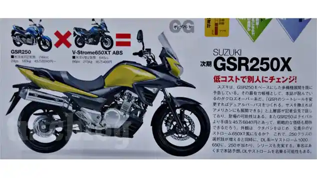 Suzuki V-Strom 250, Turunan dari Inazuma?