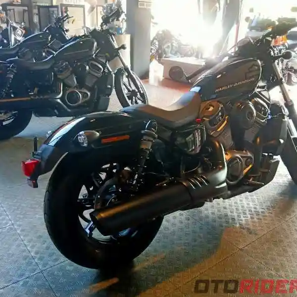 Harley Davidson Nightster 2022
