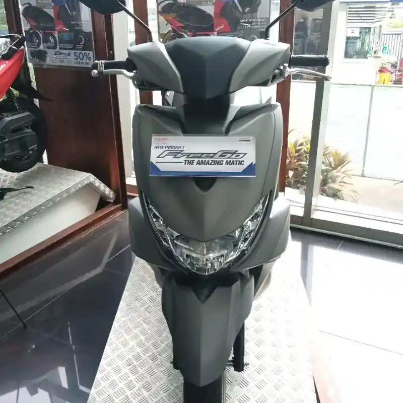 Yamaha FreeGo S Version