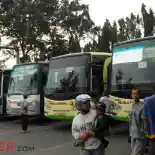 PLN Adakan Mudik Gratis, Simak Syarat dan Cara Daftarnya!