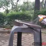 Fungsi Penggunaan Cat Dasar Saat Mengecat Ulang Motor Fungsi Penggunaan Cat Dasar Saat Mengecat Ulang Motor