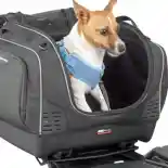 Ramaikan EICMA 2023, GIVI Rilis Tas Guna Membawa Binatang Peliharaan