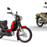 TVS XL100 vs WMOTO Porter 125, Motor Kargo Praktis Lawan Bebek Adventure