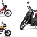 Pilihan Warna Lengkap Motor Ikonik Honda: Monkey, Dax, C125, dan CT125