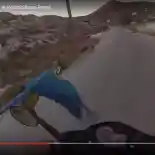 Video : Mengejar Kakaktua Dengan Skuter Video : Mengejar Kakaktua Dengan Skuter