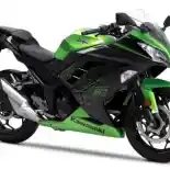 Kawasaki Ninja 300 Terbaru Meluncur Di India, Apa Saja Ubahannya?