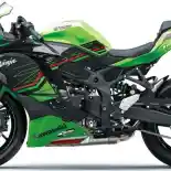 Detail Spesifikasi Kawasaki Ninja ZX-4RR yang Cuma Ada 40 di Indonesia