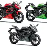 Tiga Pilihan Warna dan Grafis Baru Kawasaki RR Mono Buat 2016