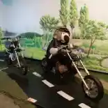 Siap Pinang Motor Idaman? Jangan Lupakan Hal Ini!