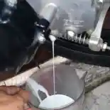 Oli Transmisi Motor Matic Berubah Warna Jadi Putih Susu, Ini Penyebabnya