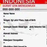 Touring ke Luar Negeri, SIM Indonesia Bisa Internasional