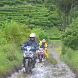 Galeri Foto: Turing Bandung-Ciwidey Bareng Motor Honda 150 cc Galeri Foto: Turing Bandung-Ciwidey Bareng Motor Honda 150 cc