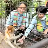 Cerita Antara Hewan Bekantan Dengan Honda Indonesia