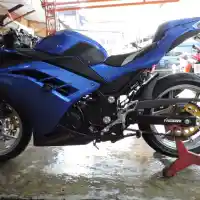 Galleri foto Simpel dan Segar, Ninja Biru Ini Sedap Dipandang Mata