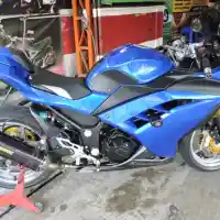 Galleri foto Simpel dan Segar, Ninja Biru Ini Sedap Dipandang Mata