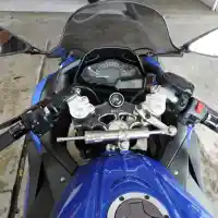 Galleri foto Simpel dan Segar, Ninja Biru Ini Sedap Dipandang Mata