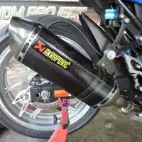 Galleri foto Simpel dan Segar, Ninja Biru Ini Sedap Dipandang Mata