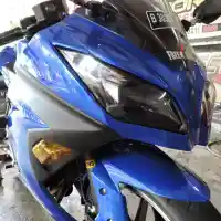 Galleri foto Simpel dan Segar, Ninja Biru Ini Sedap Dipandang Mata