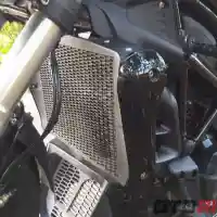 Galleri foto GALERI: Motor Cruiser Benelli 502C