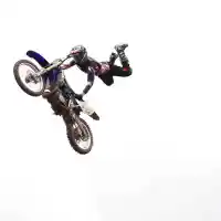 Galleri foto Galeri : Aksi Freestyle Linus Jakobs And Fredrik Berggren Di Indonesia