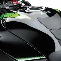 Galleri foto Galeri: Detail Kawasaki Ninja ZX-10R 2016