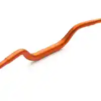 Galleri foto GALERI: KTM SX-E 5, Trail Mini Bertenaga Listrik