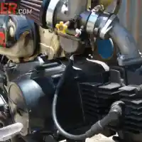 Galleri foto Choppy Cub Gaul Pajangan Distro Galleri foto Choppy Cub Gaul Pajangan Distro