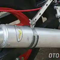 Galleri foto Berkat Tidur Bareng Macan Jadi-Jadian