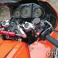 Galleri foto Berkat Tidur Bareng Macan Jadi-Jadian