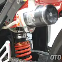 Galleri foto Berkat Tidur Bareng Macan Jadi-Jadian